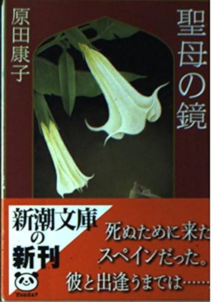 新品 天聖経 文庫本 聖書(新共同訳 NI55DCZTIエンジ) 旧約聖書続編つき 中型ジッパー